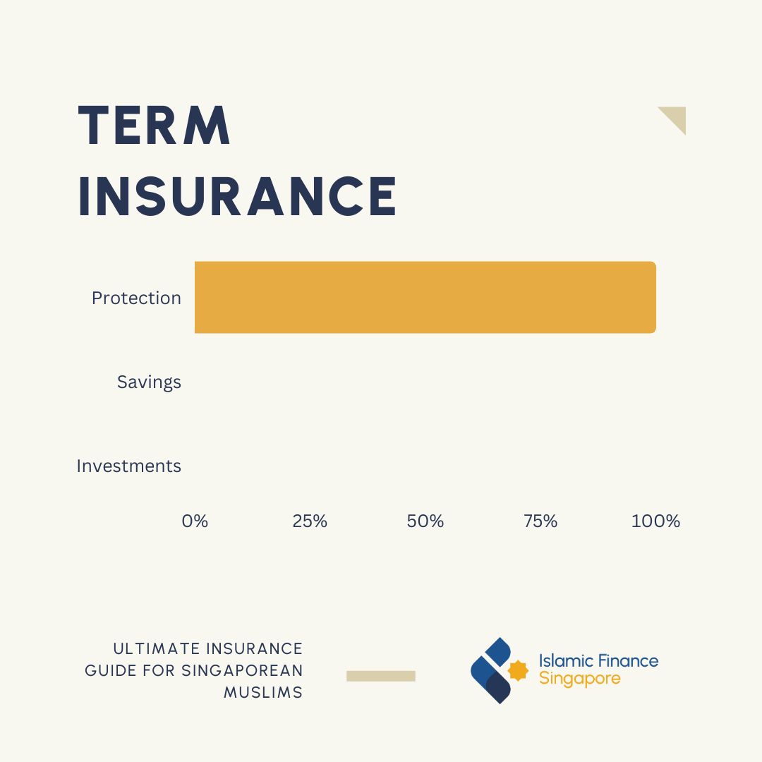 Term Insurance explanation in SIngapore