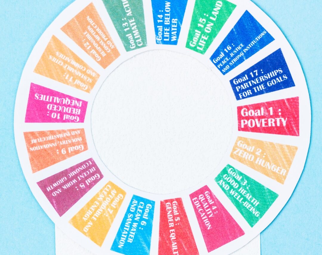 The Contribution of Islamic Finance to the Sustainable Development Goals