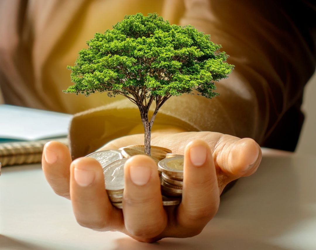 Diversify Your Portfolio with Maybank: Halal Investment Funds to Grow Your Wealth